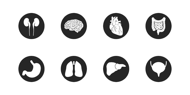 장기 아이콘 세트 인간의 장기 의학 개념 평면 벡터 일러스트 레이 션