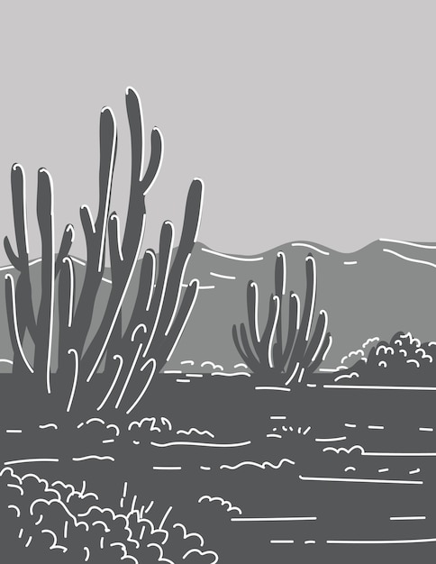 Vettore organ pipe cactus national monument in arizona monoline line art disegno in scala di grigio