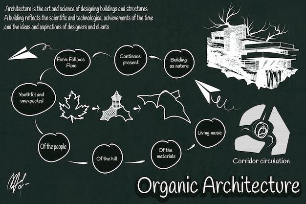 Vettore scarabocchi di concetto di architettura organica