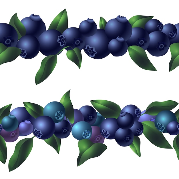 Vector organic blueberry template, cartoon style