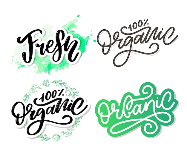 Vettore spazzola organica lettering parola disegnata a mano organico con modello di logo etichetta foglie verdi per organico