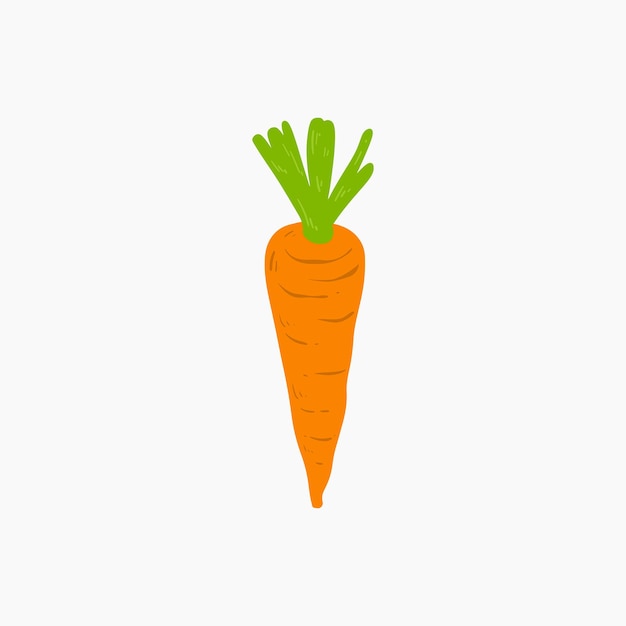 Organic carrot