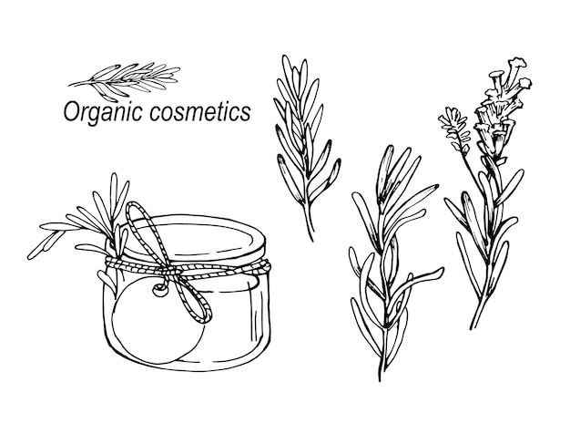 Концепция органической косметики контейнер для косметики цветы и листья лаванды