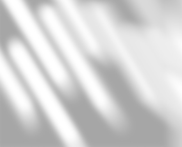 organic drop shadow on a white wall overlay effect for design presentation