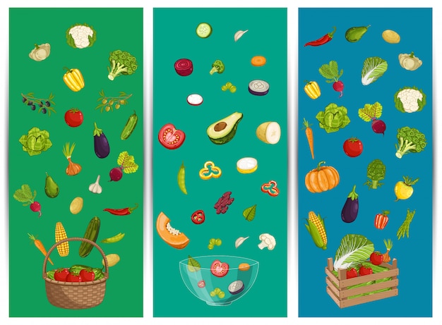 Vector organic farm food flyer set with vegetable