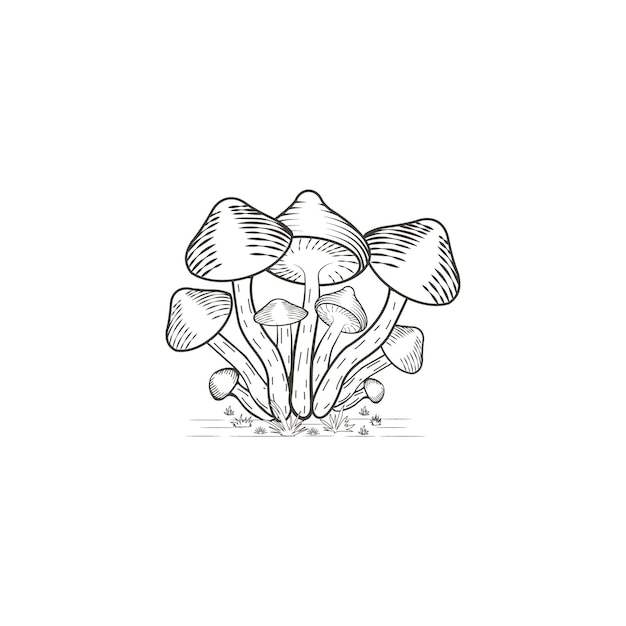 Organic farm Mushroom logo template Vector illustration vintage logo