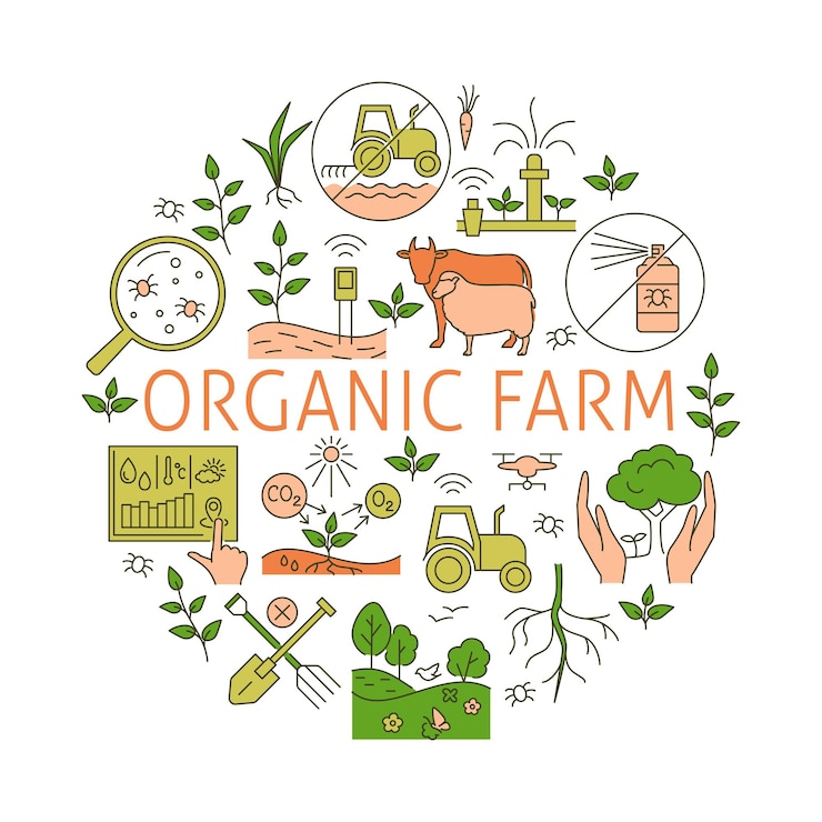 Vector organic farm round poster