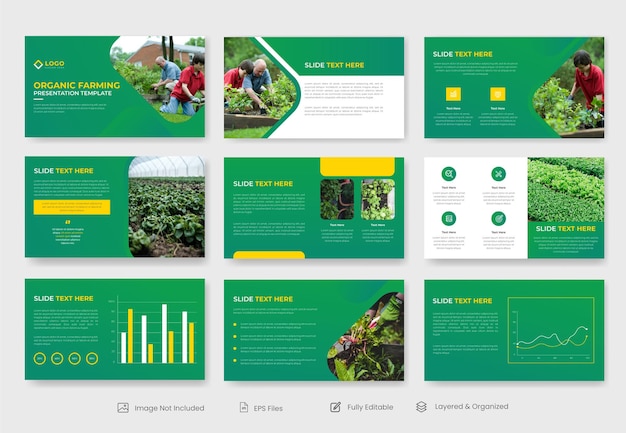 Modello di presentazione di agricoltura biologica o agricoltura