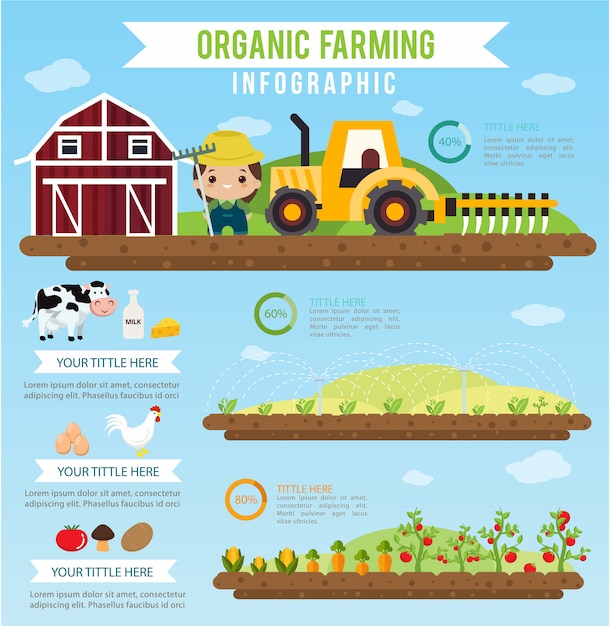 Vector organic farming  and clean food healthy infographic concept.