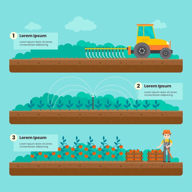 Vector organic farming concept