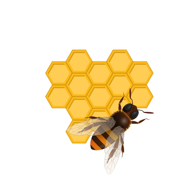 Vector organic farming symbol with honeybee