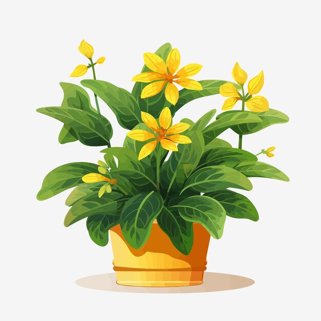 Vector organic flat houseplant collection cartoon style