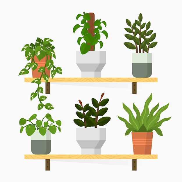 Collezione di piante d'appartamento piatte organiche