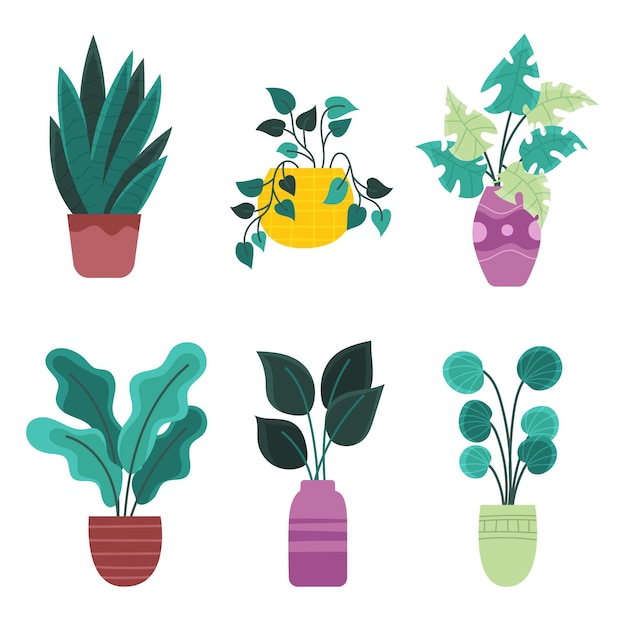 Vector organic flat houseplant collection