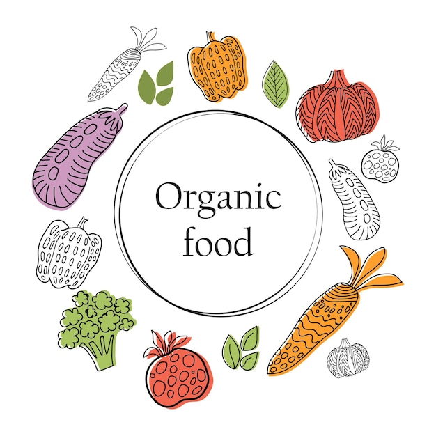 Баннер органических продуктов питания с коллекцией овощей в линейном графическом стиле. векторный фон. скандинавский стиль
