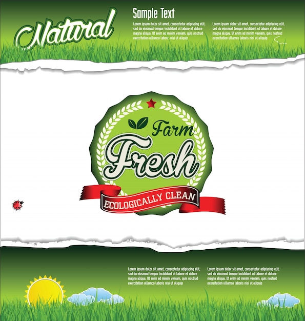 Organic food banner