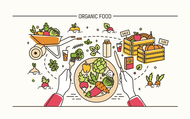 Vector organic food concept. hands holding fork and knife and plate with healthy meal surrounded by fruits, vegetables, wheelbarrow, crates