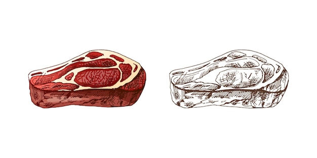 Alimento biologico schizzo vettoriale colorato e monocromo disegnato a mano di un pezzo di carne di manzo