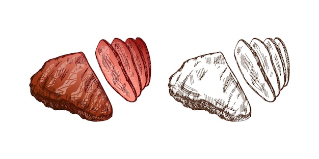 Vector organic food hand drawn colored and monochrome vector sketch of grilled beef steak piece of meat