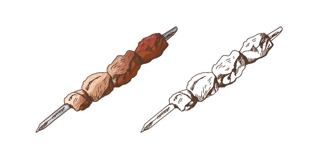 Vector organic food hand drawn colored and monochrome vector sketch of kebab shashlik grilled on a skewer