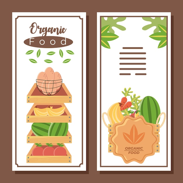 Organic food market brocure fresh fruits and vegetables vector illustration