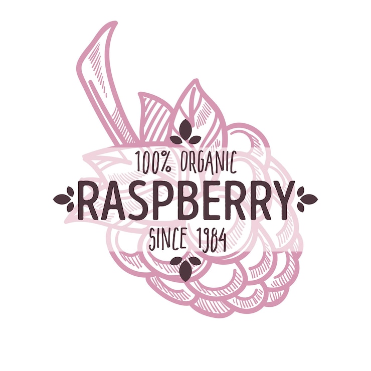 Vector organic food raspberry isolated icon with lettering forest berry silhouette vector natural product farm market grocery store and shop harvest emblem or logo agriculture and cultivation or growing