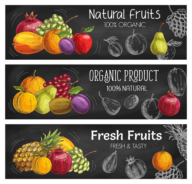 Vector organic garden and tropical exotic fruits sketch