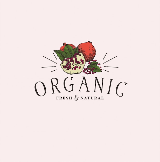 Organic hand drawn logo