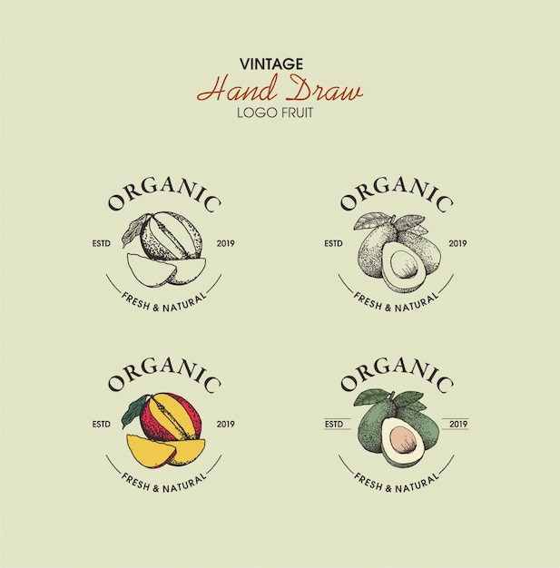 Logo vintage disegnato a mano organico