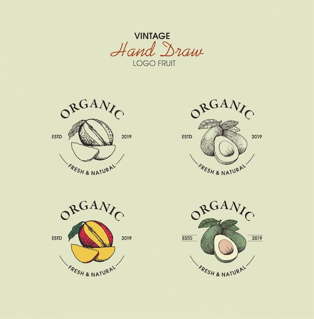 Vector organic hand drawn vintage logo