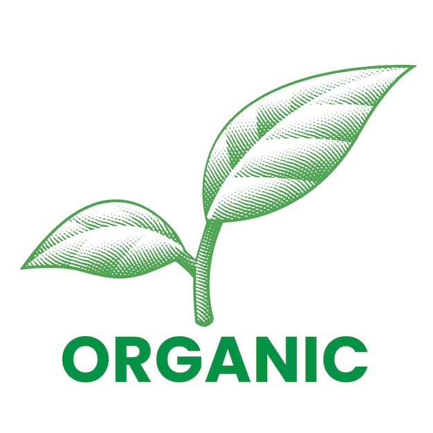 Organic Icon with Green Leaves