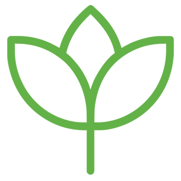 Vector organic icon