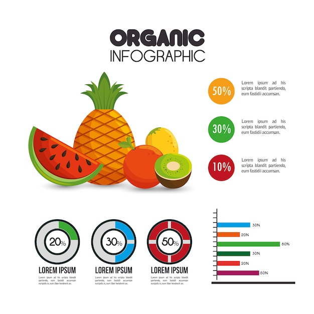 Vettore icona di presentazione infografica organica