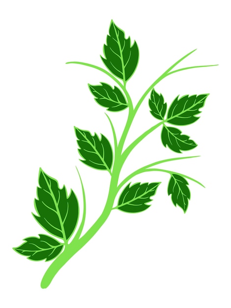 organic leaf element design vector