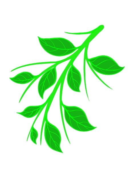 organic leaf element design vector