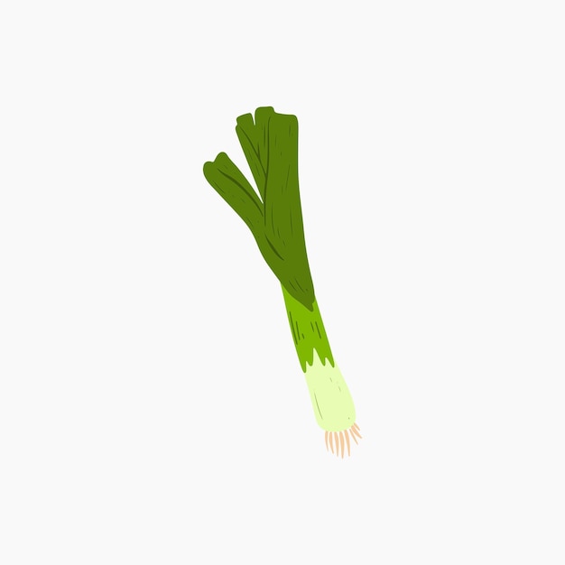 Organic Leek