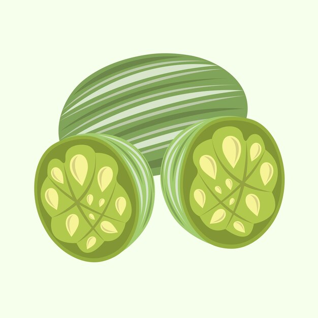 Organic mouse melon vector illustration