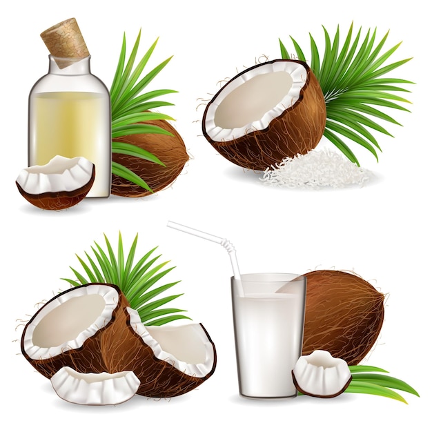 Organic natural coconut set vector isolated illustration