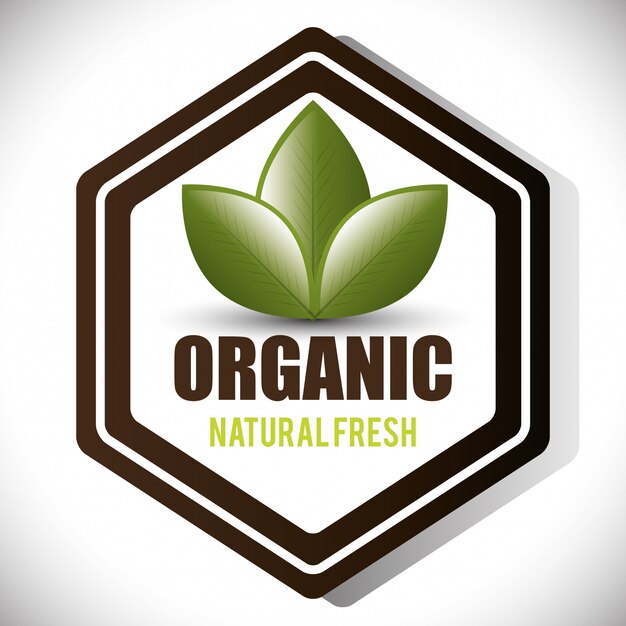 Vector organic natural food label