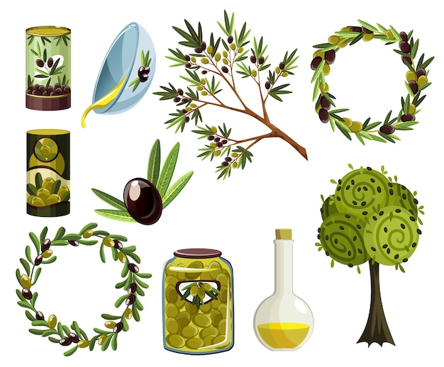 Vector organic olive products set. oil elements. fresh ripe tree fetuses and fragrant oil in bottles and jugs isolated on white background.