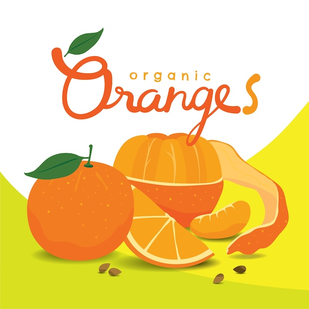 Organic peeled orange slices