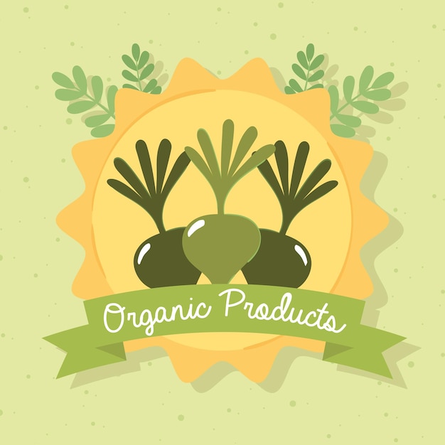 Vector organic products poster