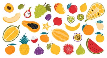Органические спелые сырые фрукты плоский арбуз, грейпфрут и персиковая дыня, драконий фрукт и папайя, слива, манго и гранат, лимон, киви и карамбола, ананас, инжир и мангустин, джекфрут