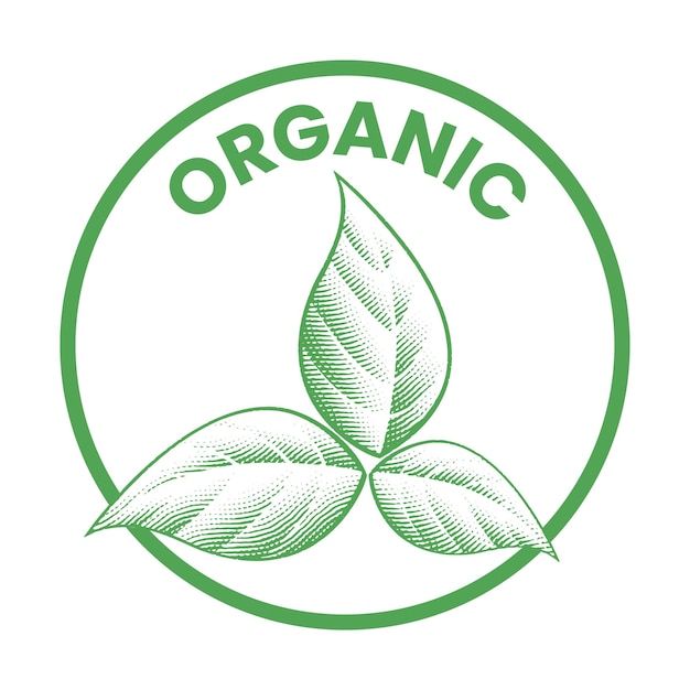 Vector organic round icon with shaded engraved green leaves icon 9