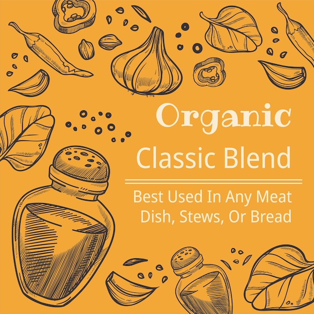 Organic seasoning classic blend of spices vector