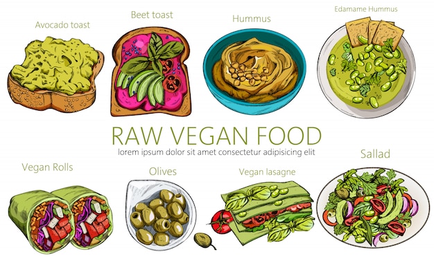 Vector organic set of raw vegan food. hummus, beat and avocado toast, rolls, olives, lasagne, salad