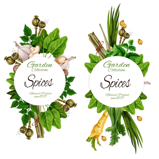 Organic spices and herbal garden seasonings