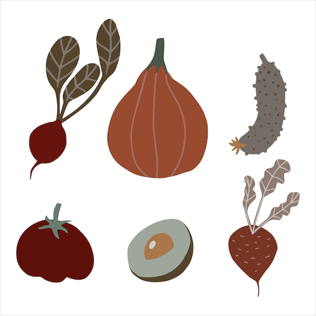 Органические овощи в землистых бохо-цветах тыква, огурец, редис, авокадо, болгарский перец
