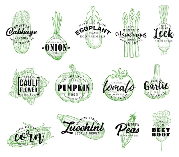 Organic vegetables harvest vector lettering