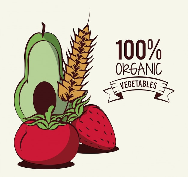 Organic vegetables icon